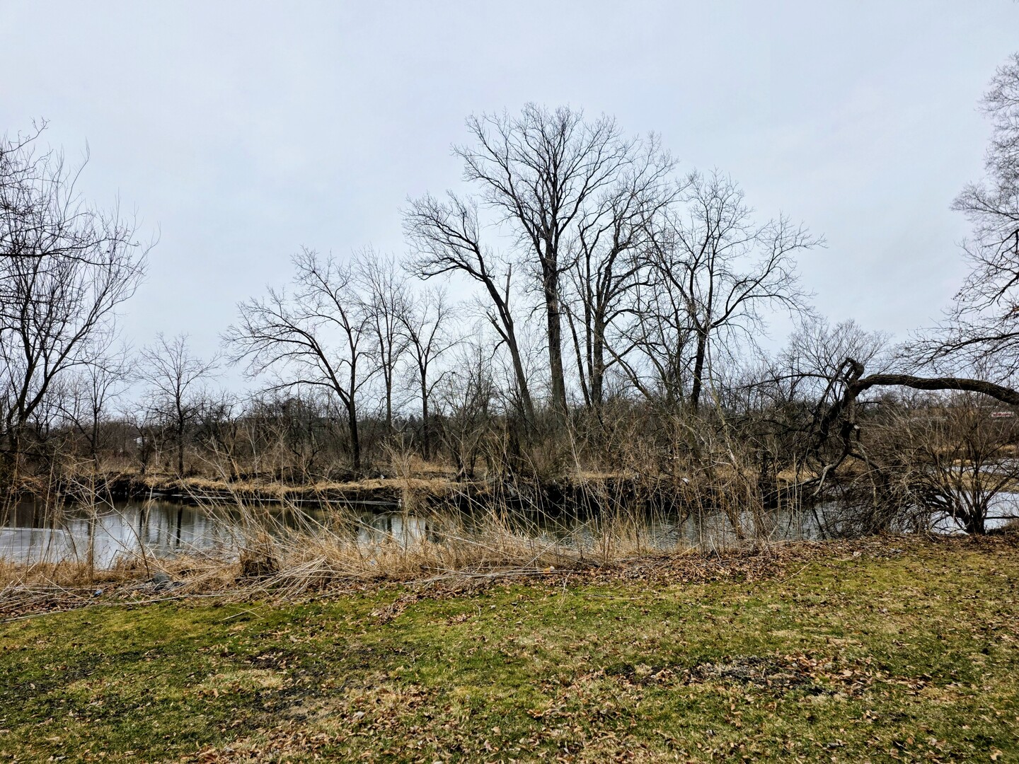 Lot 207 N Cedar Road Property Photo 1