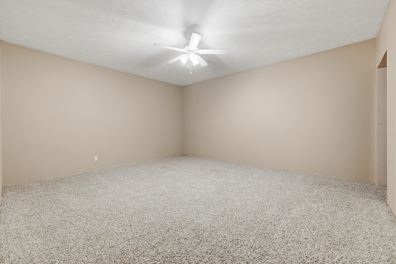 10170 Stilleys Mill Road Property Photo 52