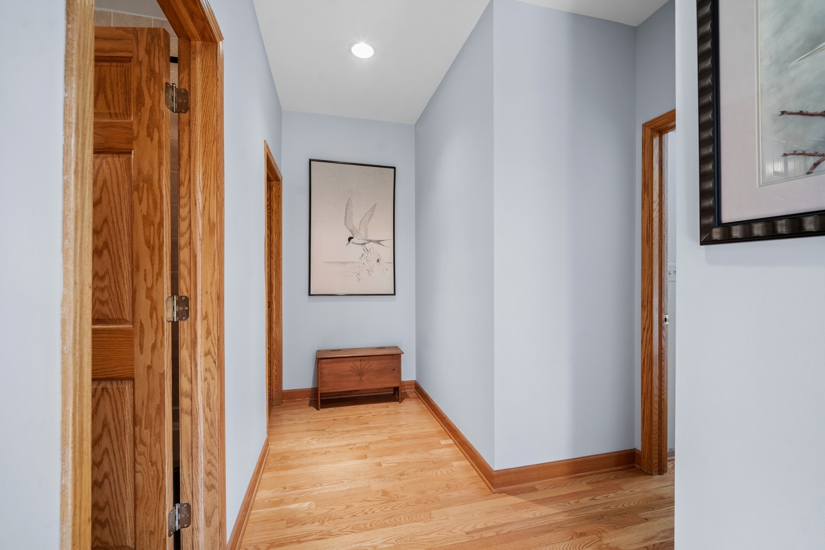 12749215 Property Photo 17