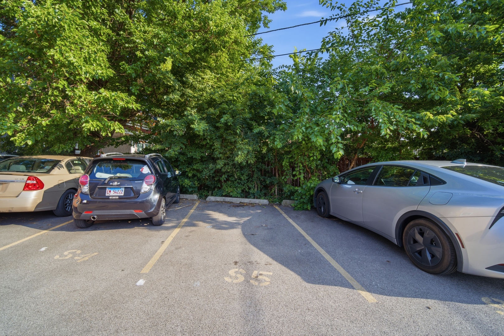 427 S Elmwood Avenue 2 Property Photo 17