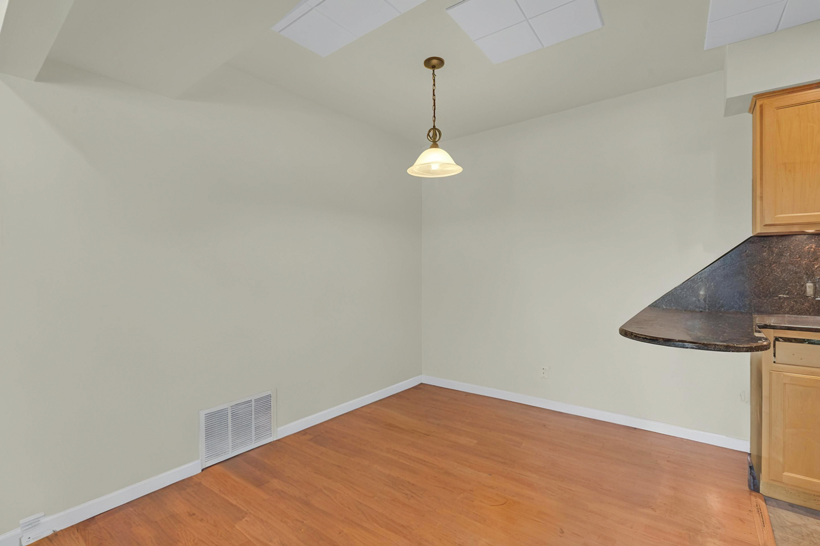 617 Limerick Lane 2b Property Photo 5