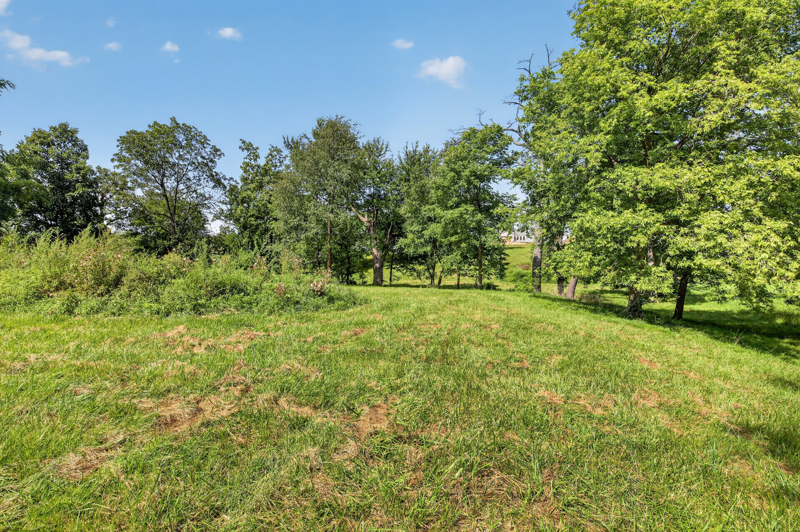 1650 Timberlane Road Property Photo 7