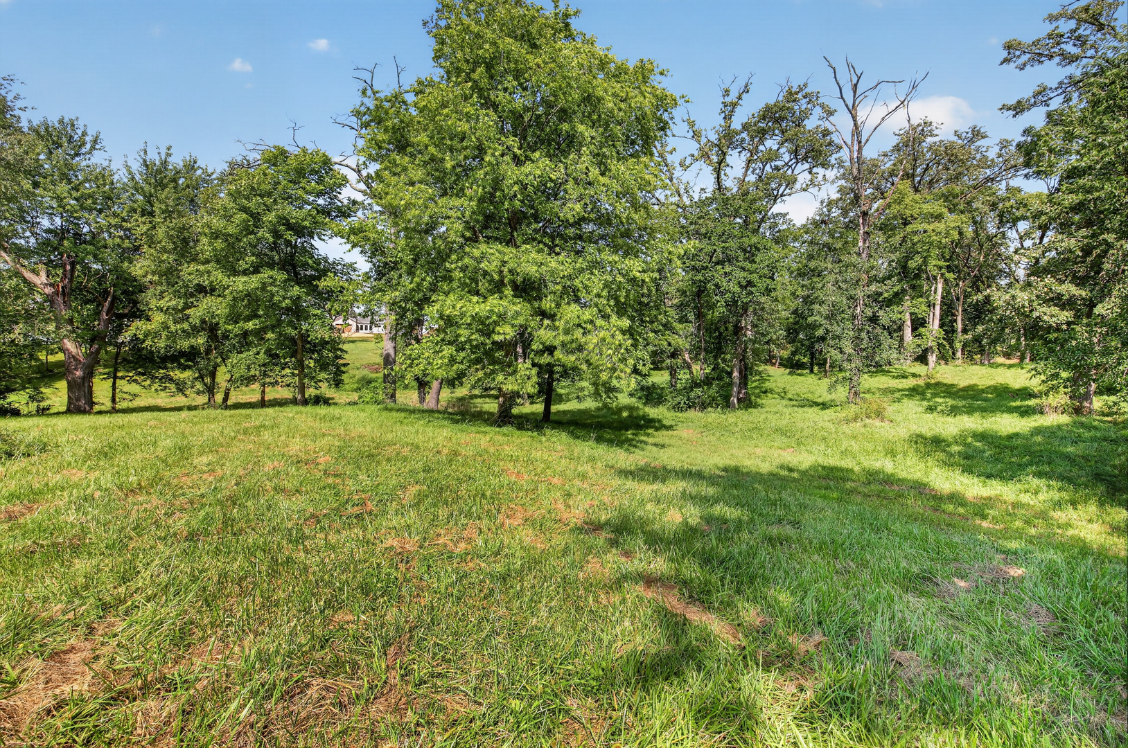 1650 Timberlane Road Property Photo 8