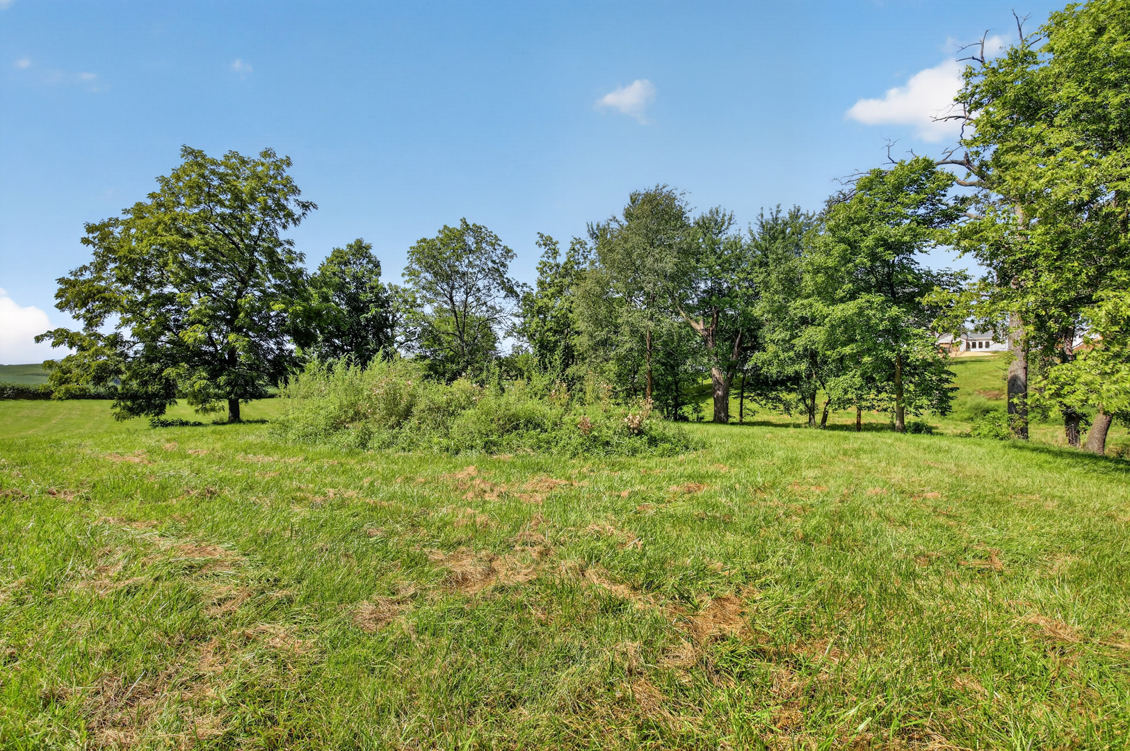 1650 Timberlane Road Property Photo 9