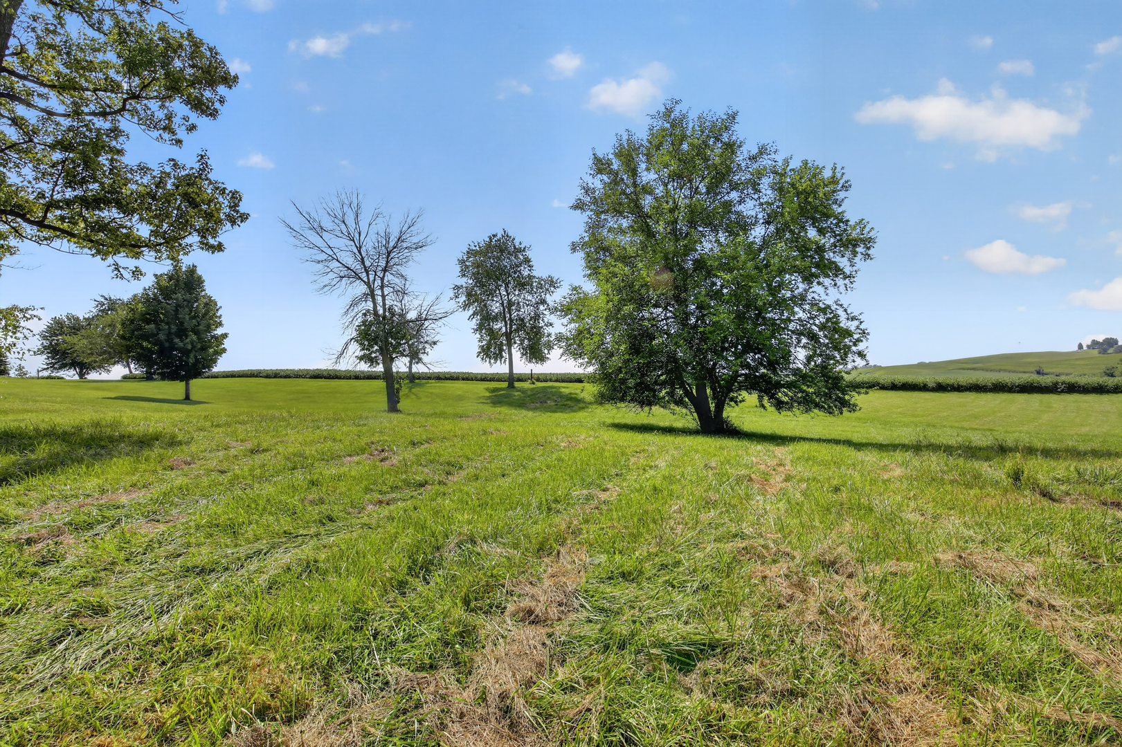 1650 Timberlane Road Property Photo 10