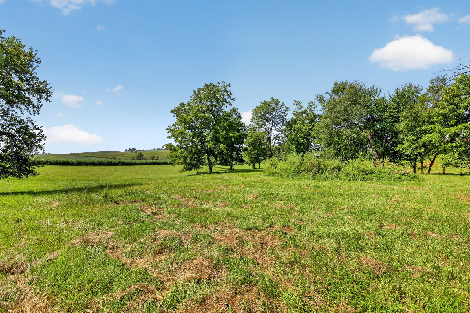 1650 Timberlane Road Property Photo 11