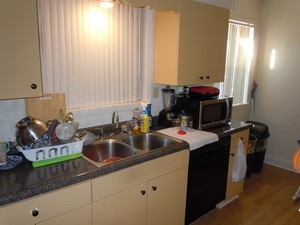138 W Irving Park Road Property Photo 7