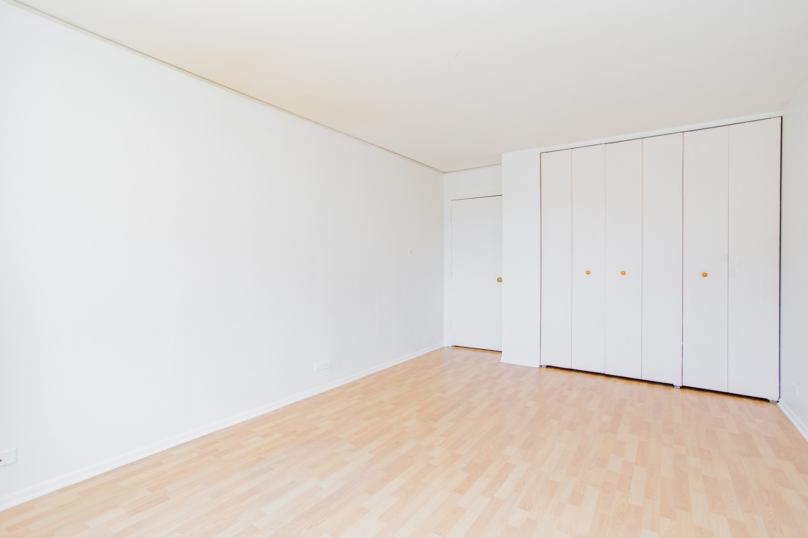 7033 N Kedzie Avenue 303 Property Photo 15