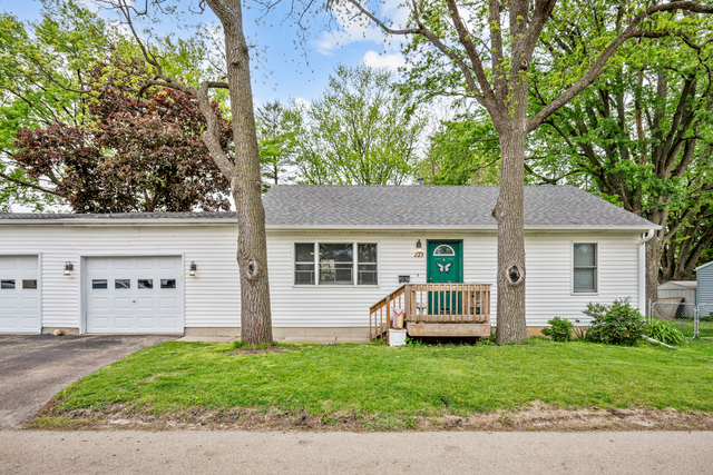 223 Ellen Street Property Photo 1