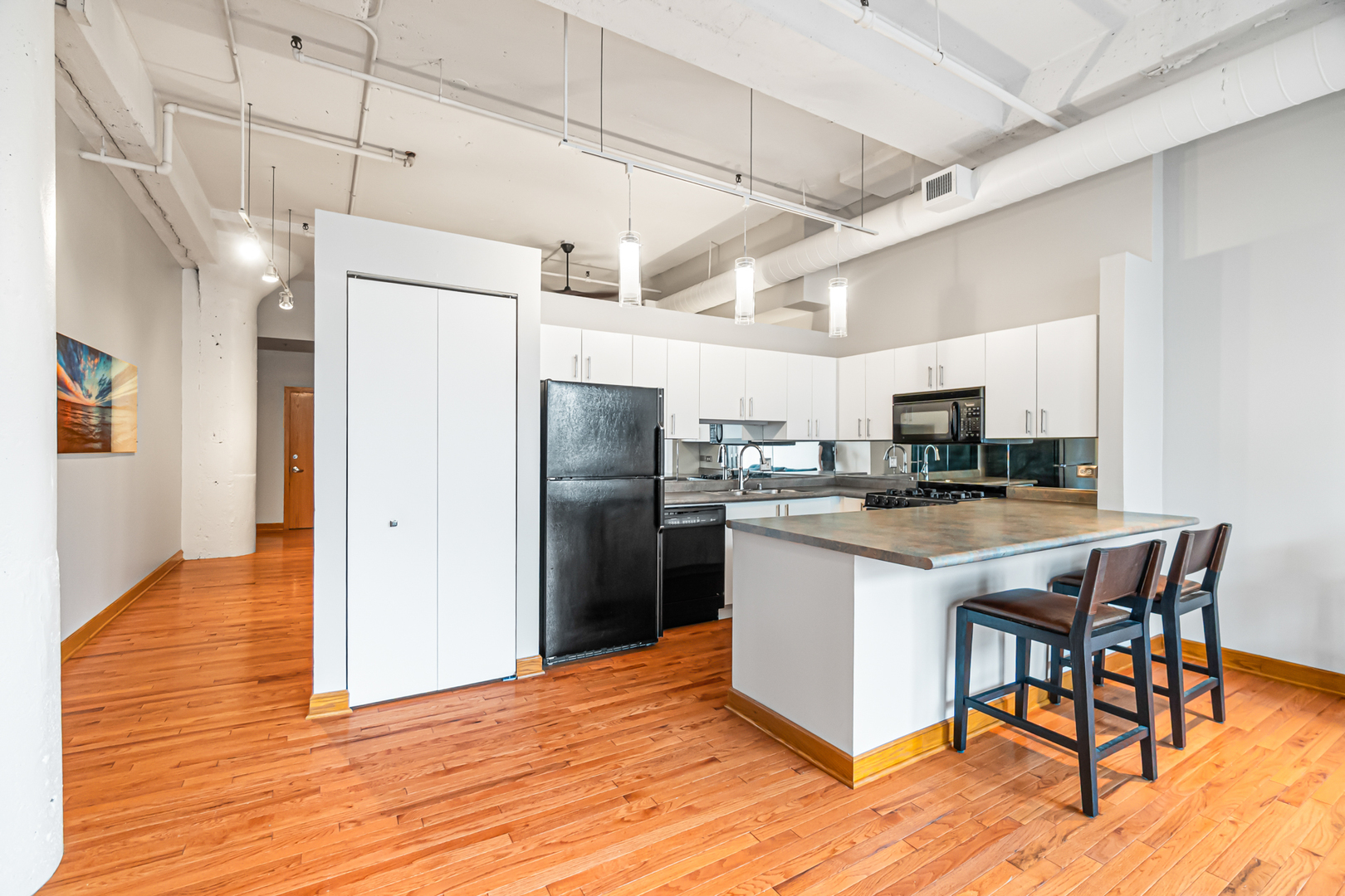 333 W Hubbard Street 604 Property Photo 9
