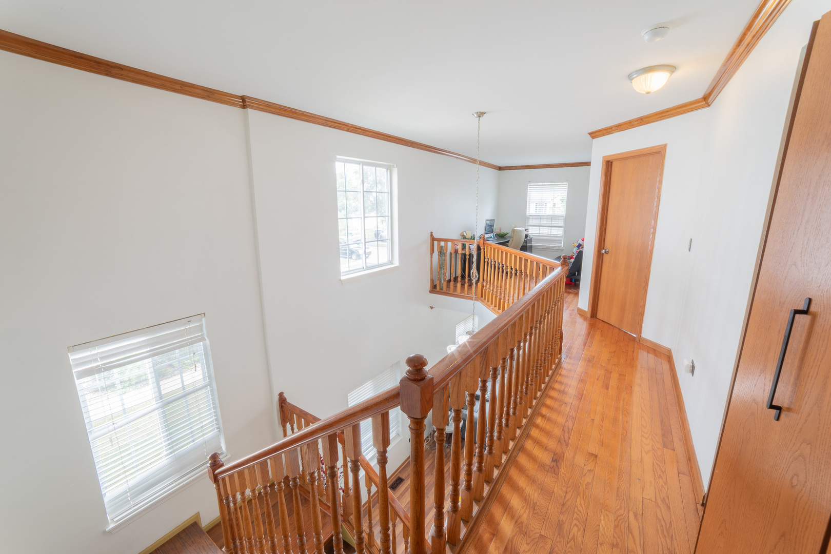 1441 Levato Lane Property Photo 18
