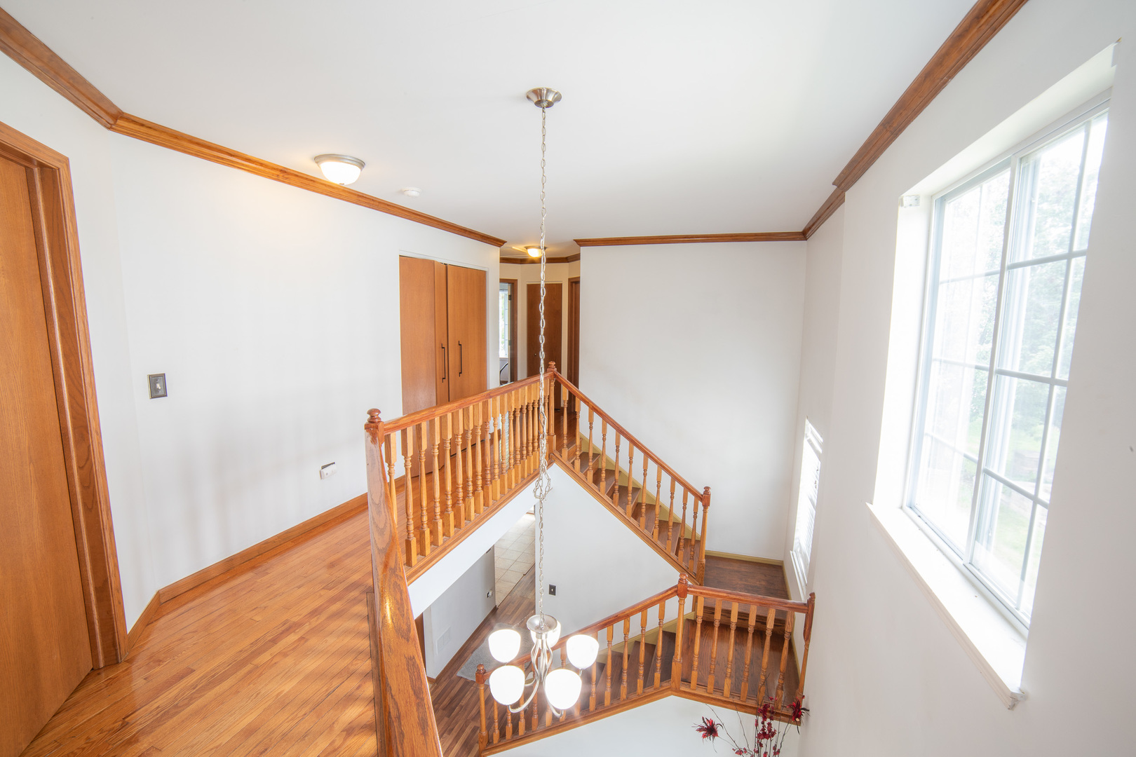 1441 Levato Lane Property Photo 19