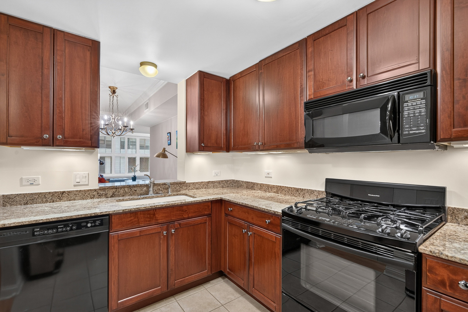 25 E Superior Street 1006 Property Photo 8
