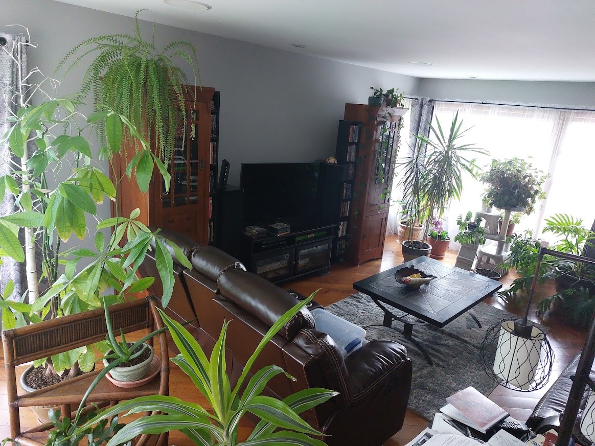 406 W Marion Street Property Photo 6
