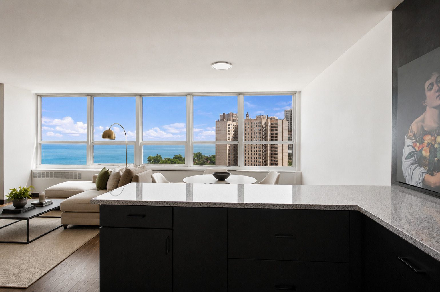 4800 S Chicago Beach Drive 1911s Property Photo 10
