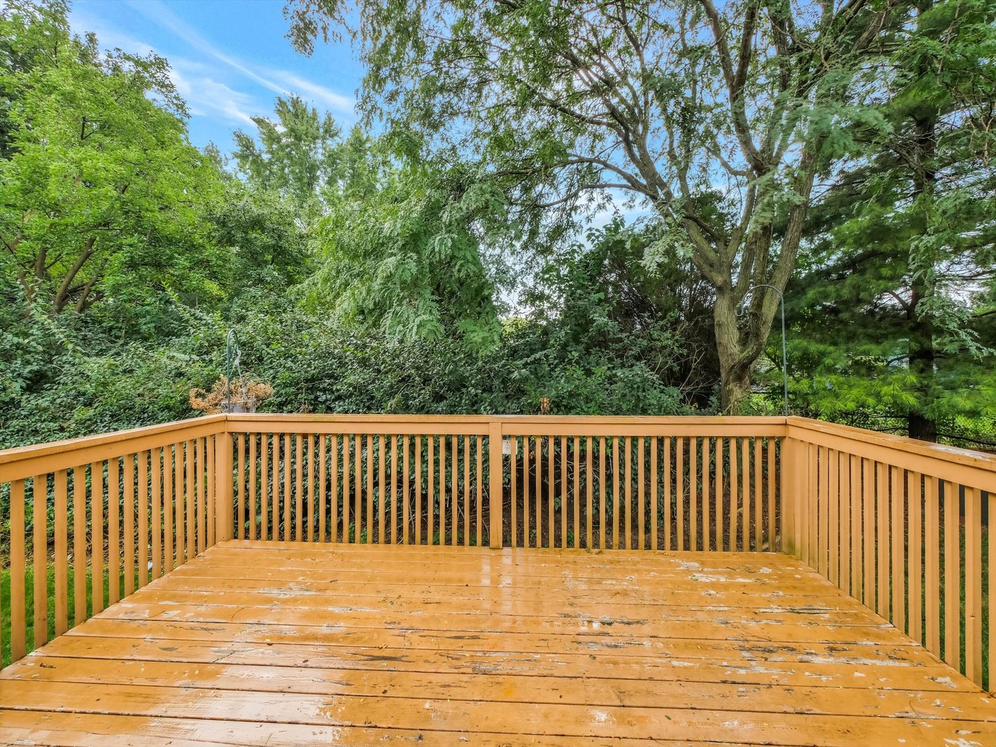 1321 Dancing Bear Lane Property Photo 31