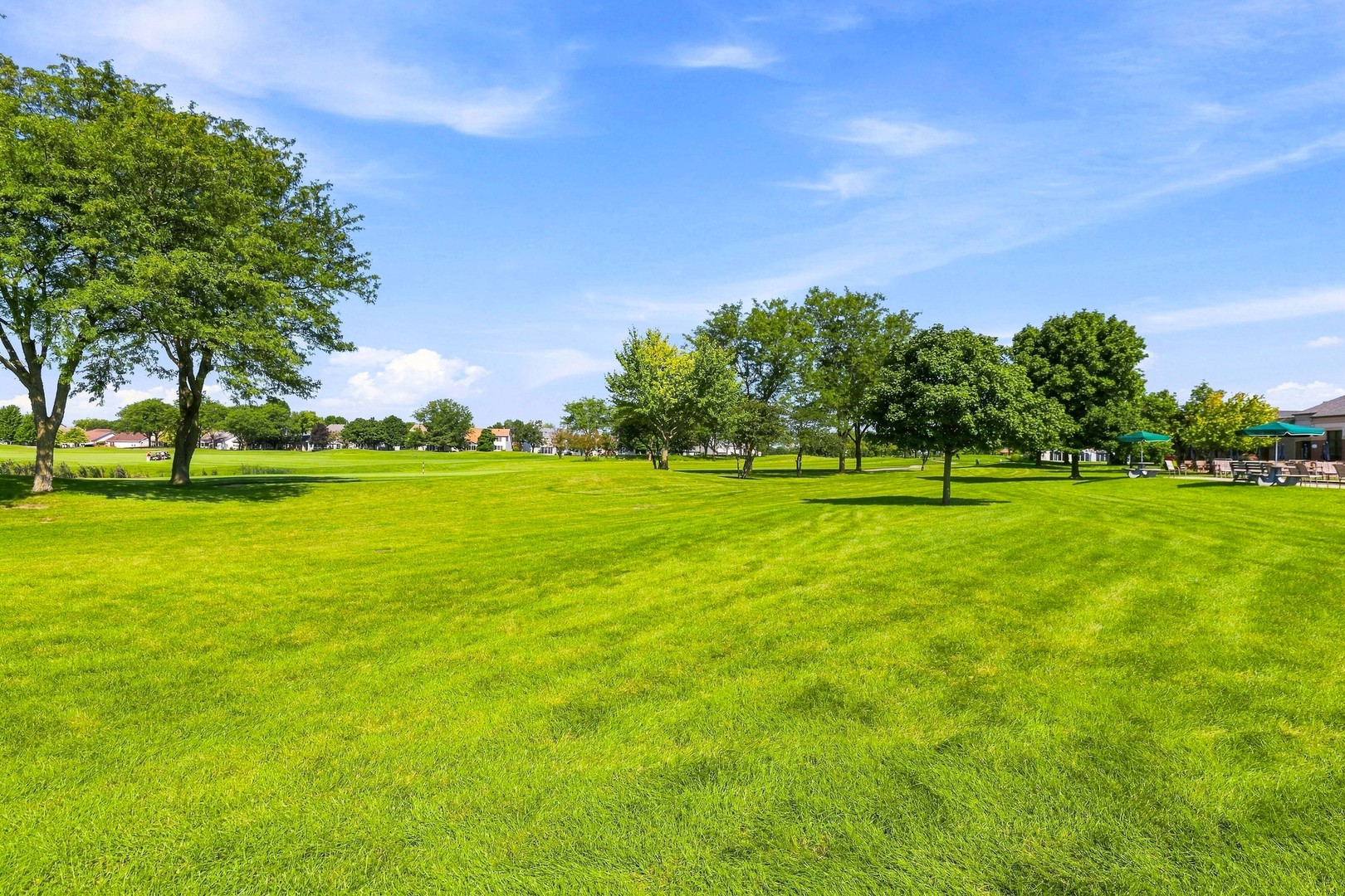 13453 S Redberry Circle Property Photo 47