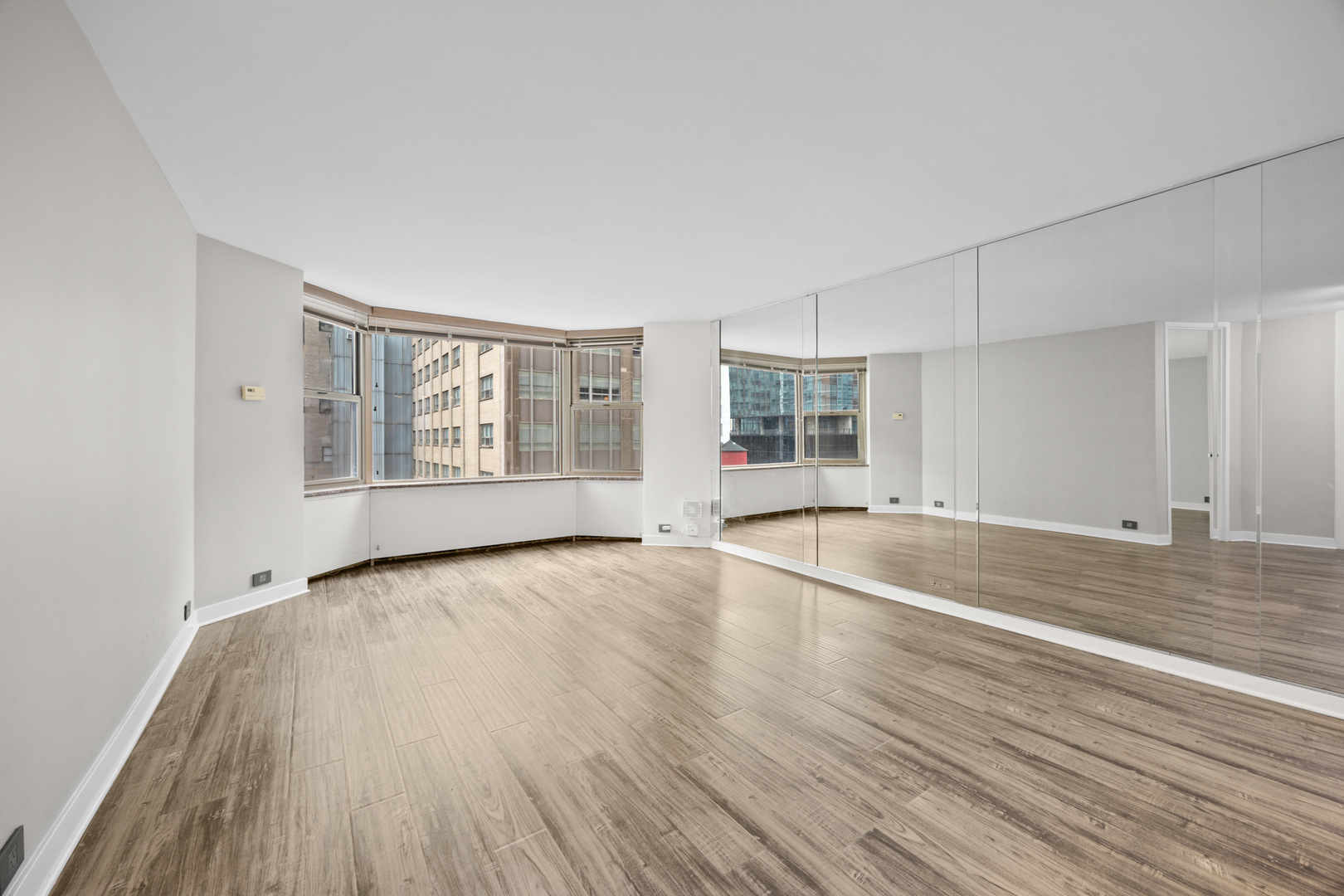 535 N Michigan Avenue 1106 Property Photo 4
