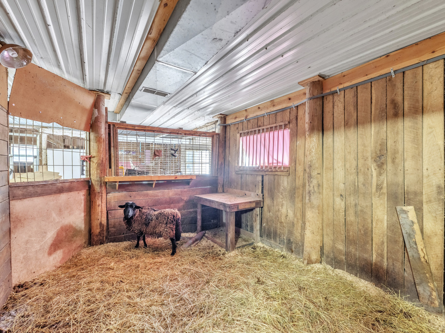 29153 S Klemme Road Property Photo 24