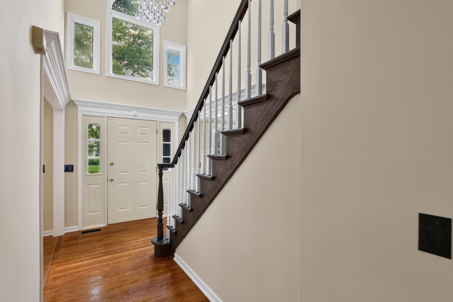 3479 Charlemaine Drive Property Photo 5