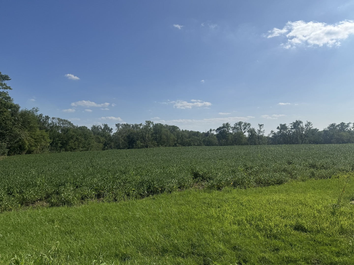 7659 W Steger Road Property Photo 7