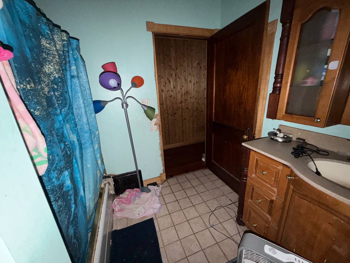 933 E Madison Street Property Photo 14