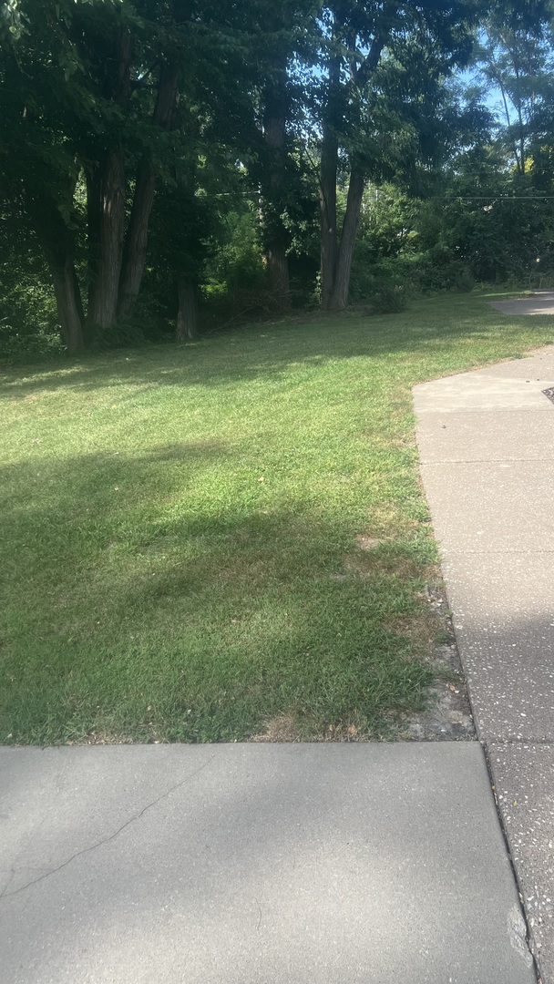1313 9th Street A Property Photo 17