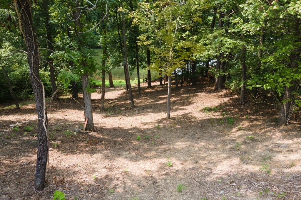 000 Wright Road Property Photo 6
