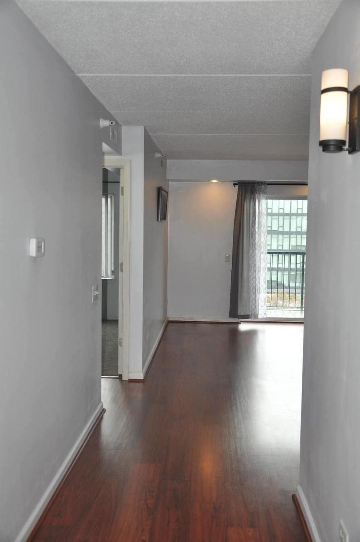 811 Chicago Avenue 703 Property Photo 2