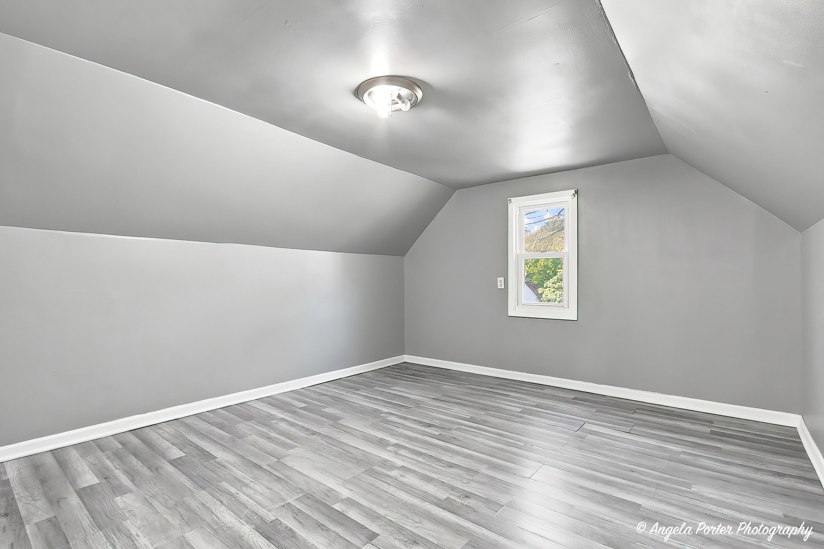 1621 Round Lake Drive Property Photo 17