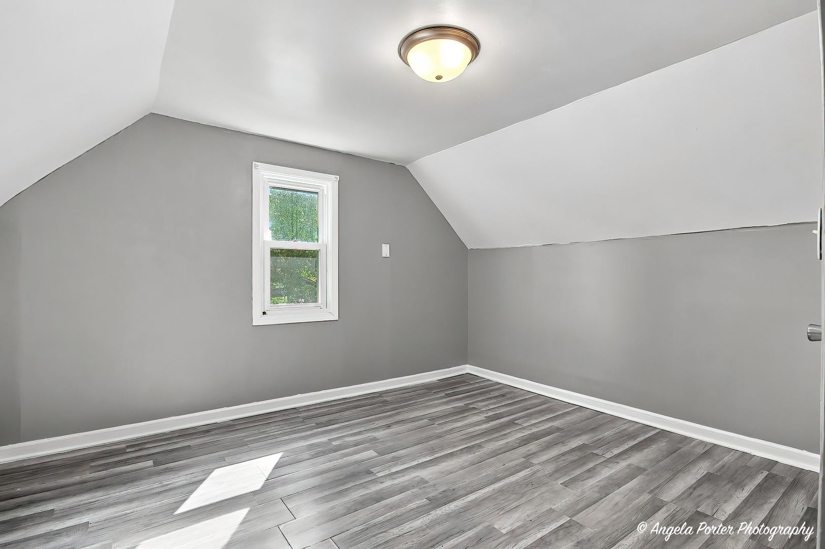 1621 Round Lake Drive Property Photo 19