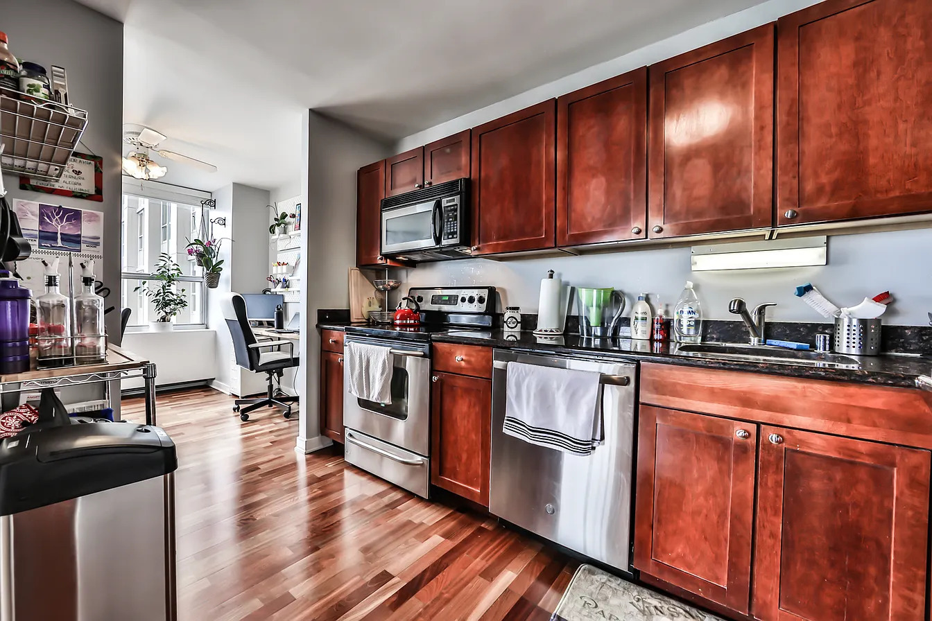 655 W Irving Park Road 3810 Property Photo 16