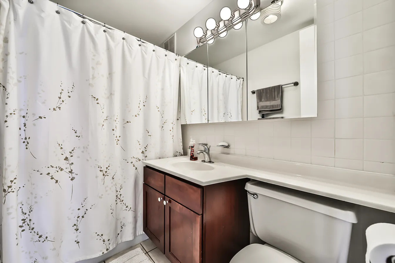 655 W Irving Park Road 3810 Property Photo 18