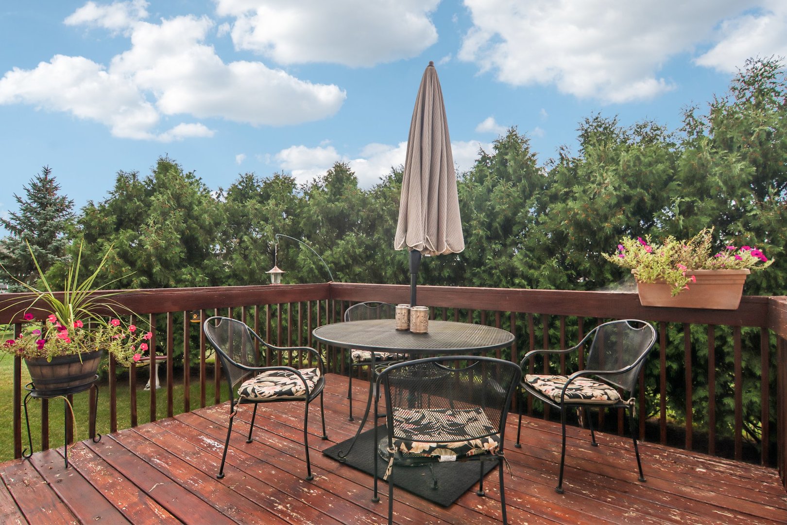 4478 Tufted Deer Court Property Photo 33