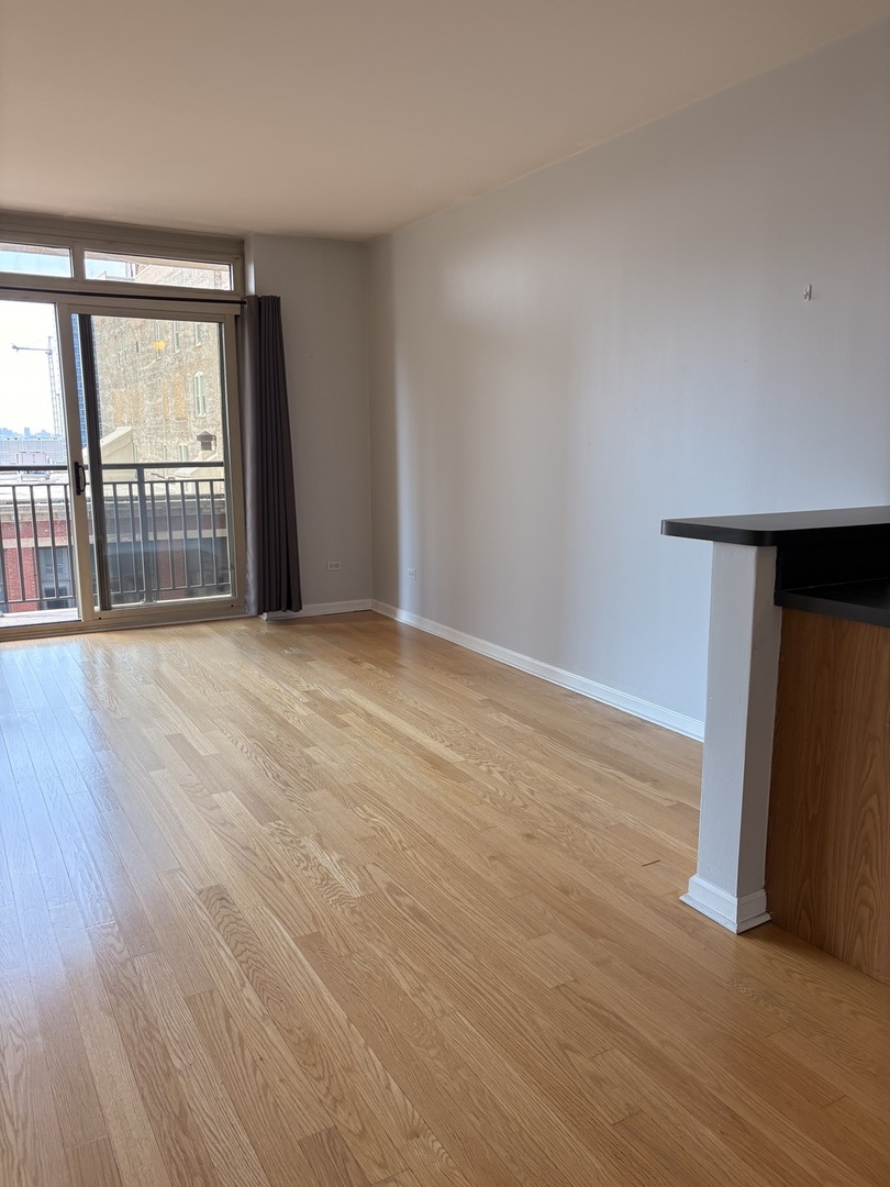 1111 S Wabash Avenue 909 Property Photo 5