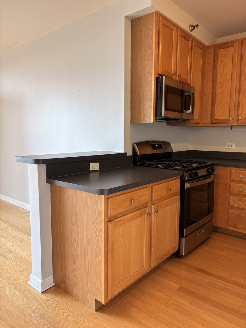 1111 S Wabash Avenue 909 Property Photo 9