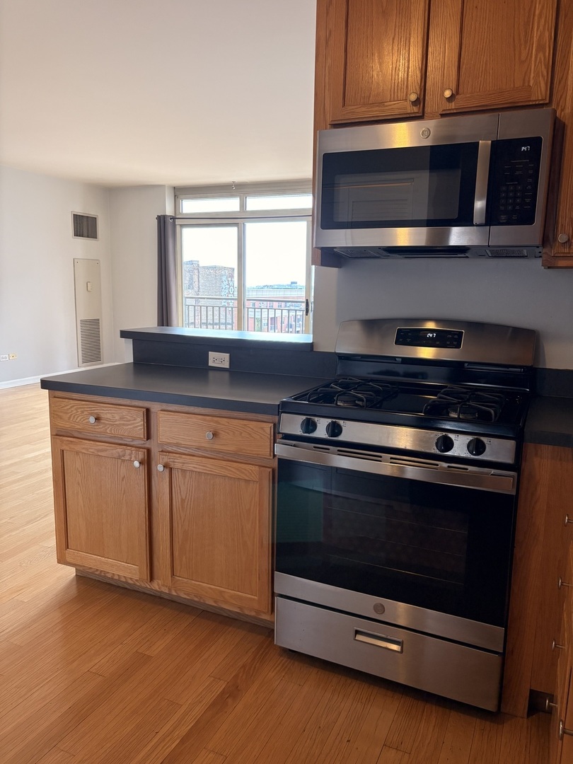1111 S Wabash Avenue 909 Property Photo 11