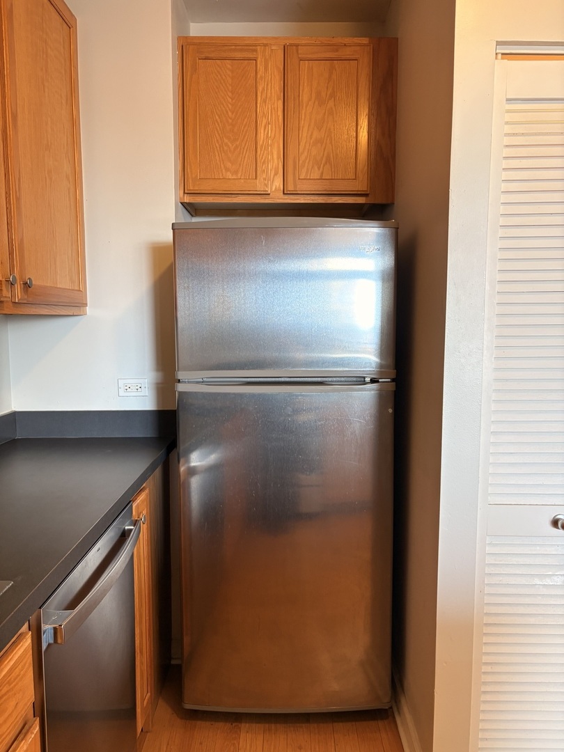 1111 S Wabash Avenue 909 Property Photo 14