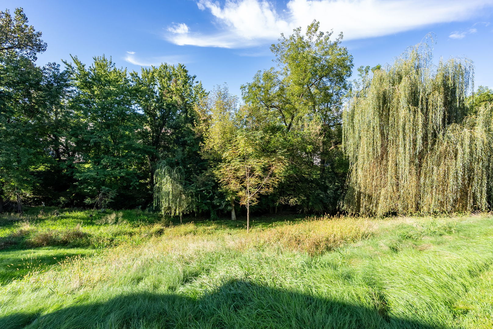 20 Musket Court Property Photo 38