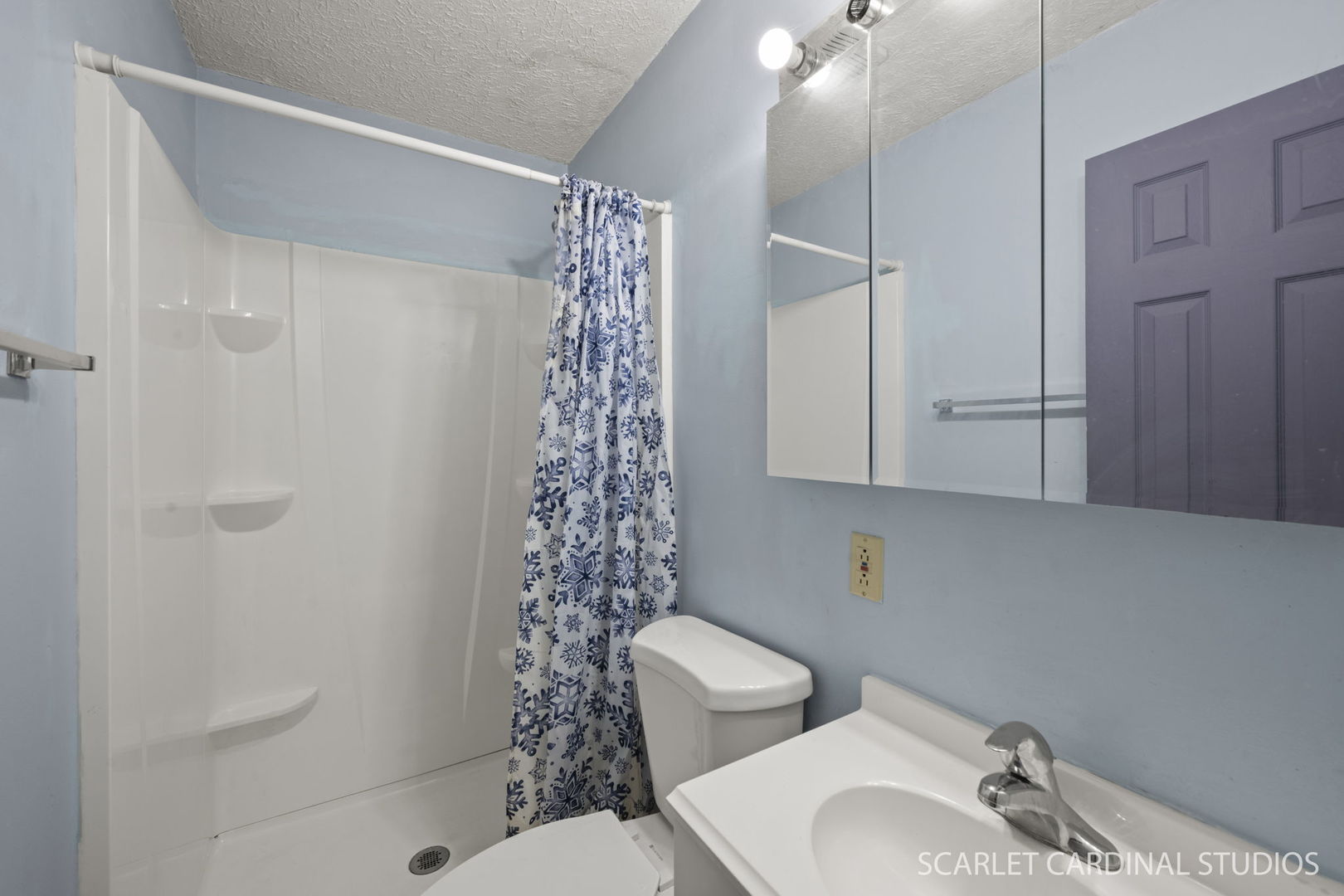 2s211 Sanchez Drive Property Photo 10