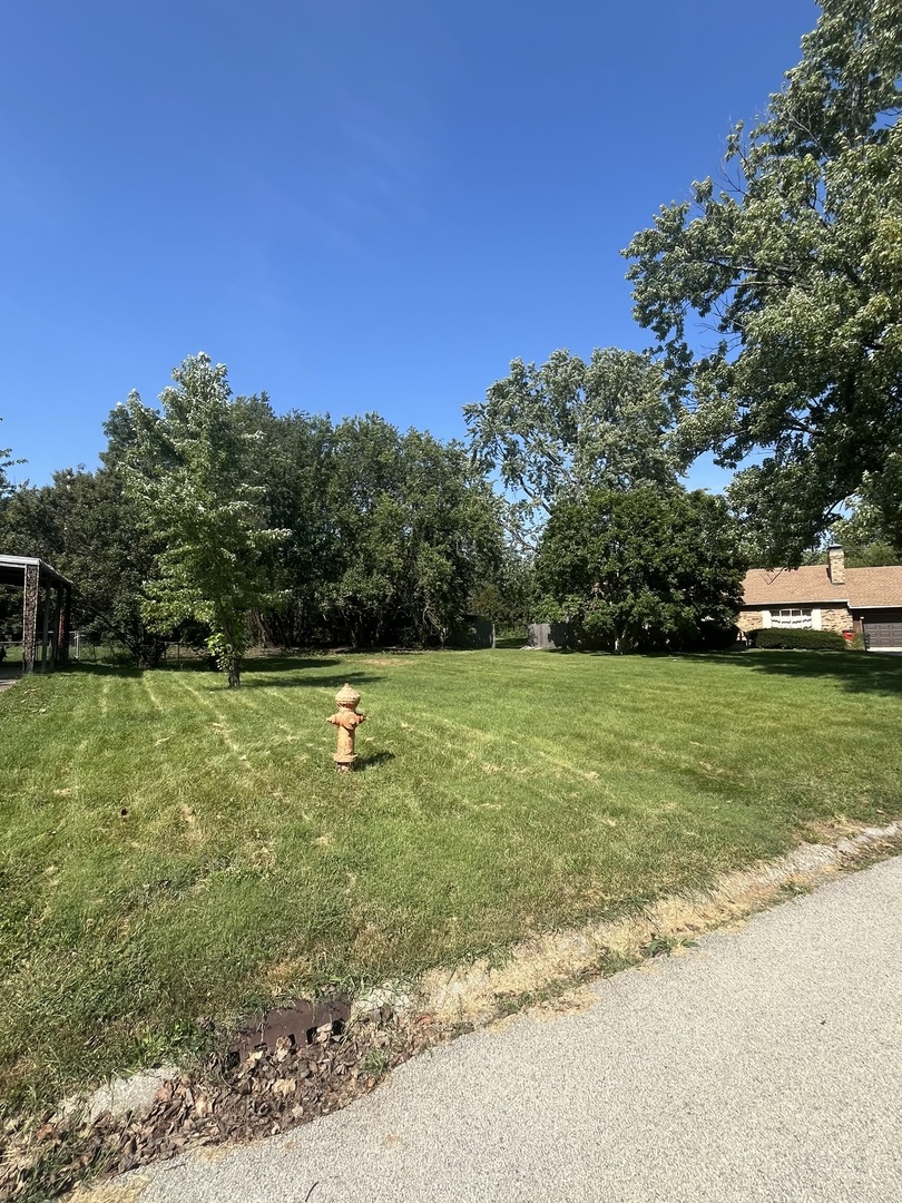 2808 Blair Drive Property Photo 3