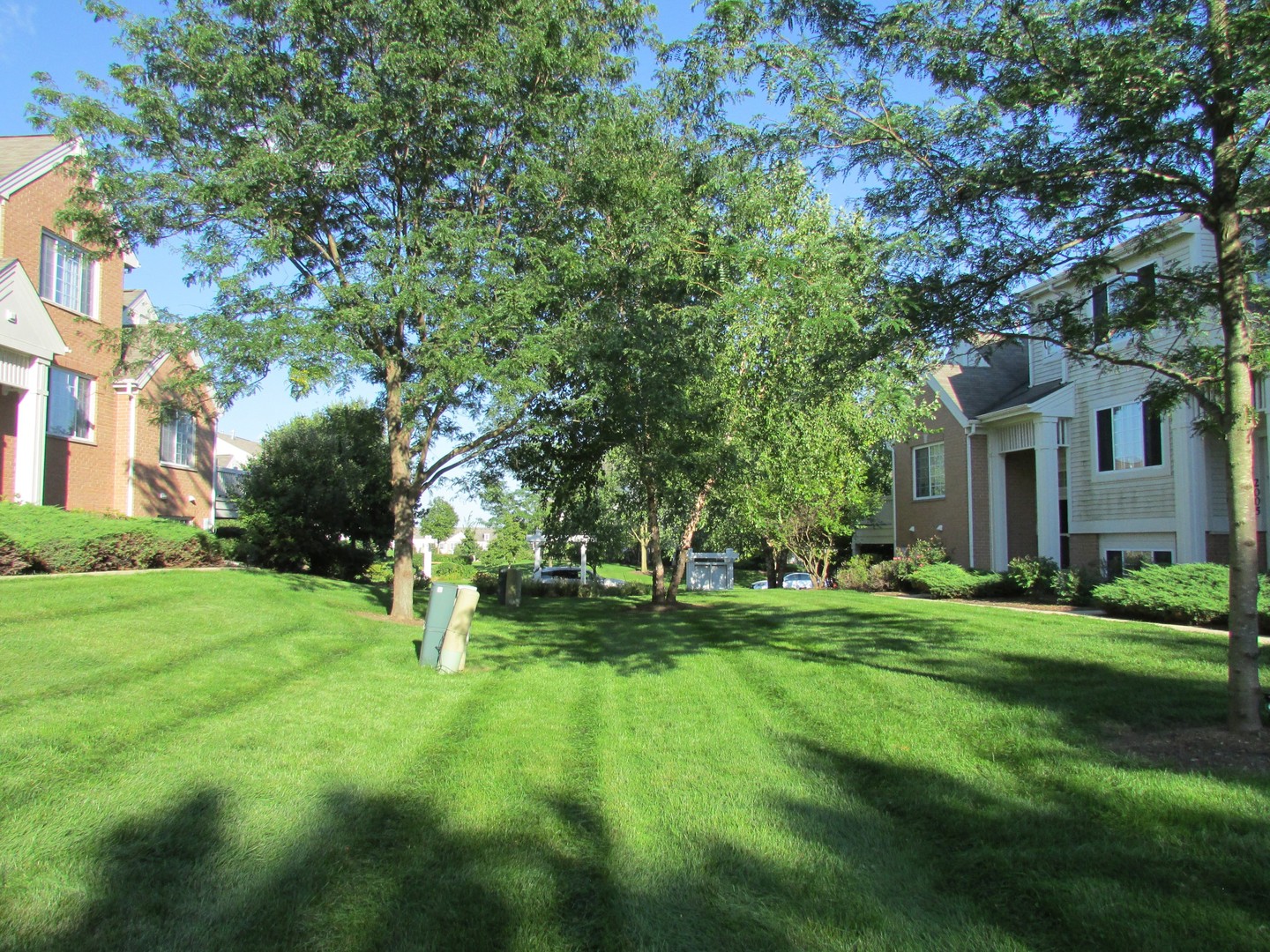 2009 Concord Drive Property Photo 19