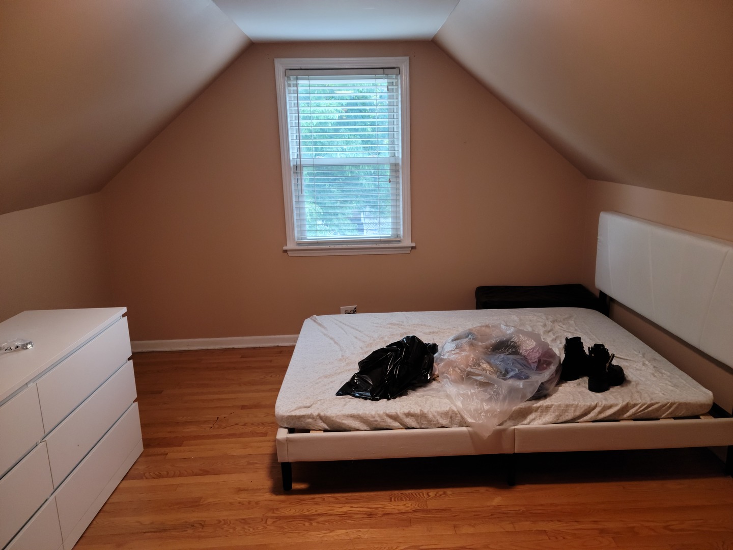 2438 Clinton Street Property Photo 15