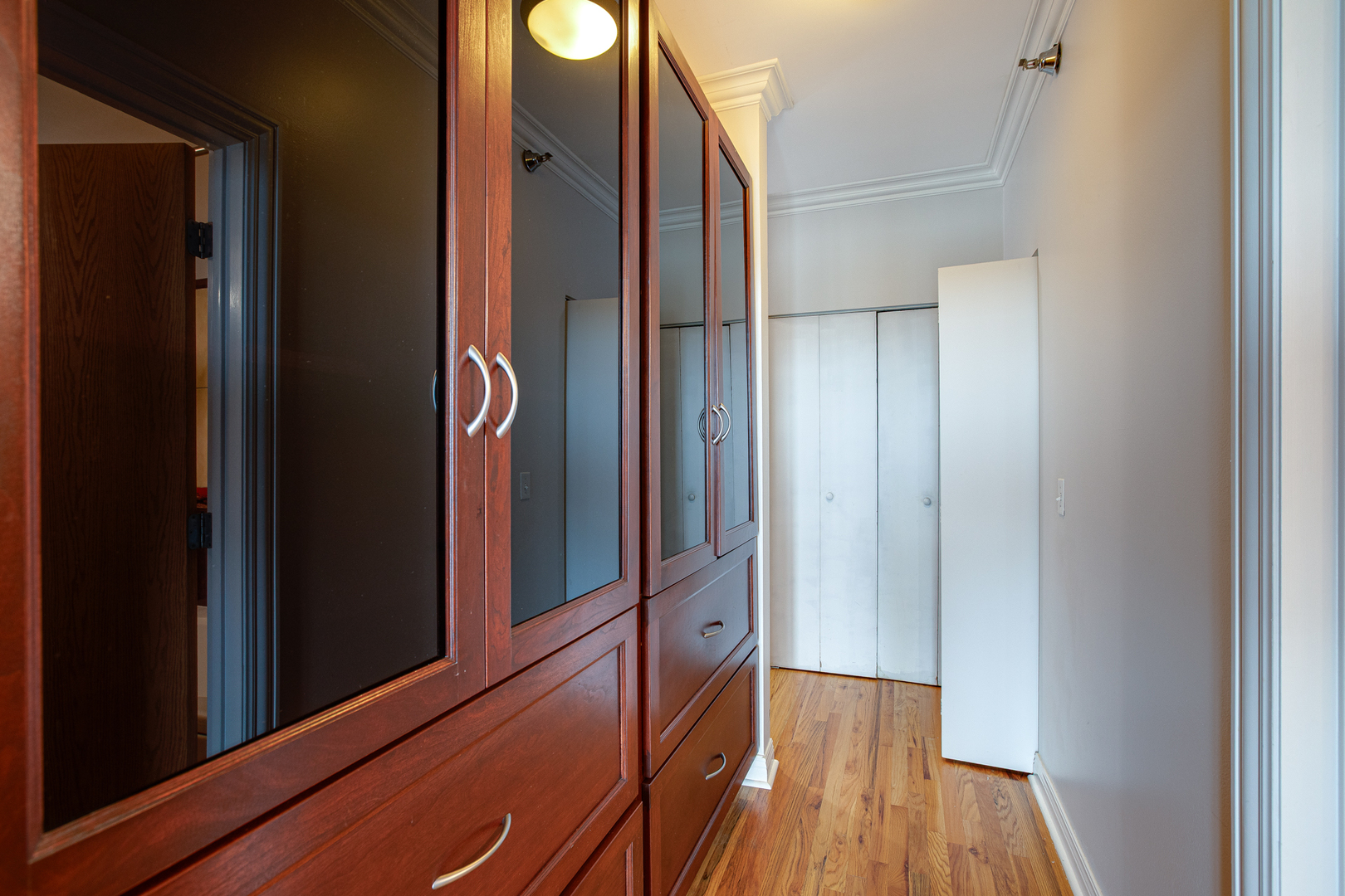 1845 S Michigan Avenue 904 Property Photo 11