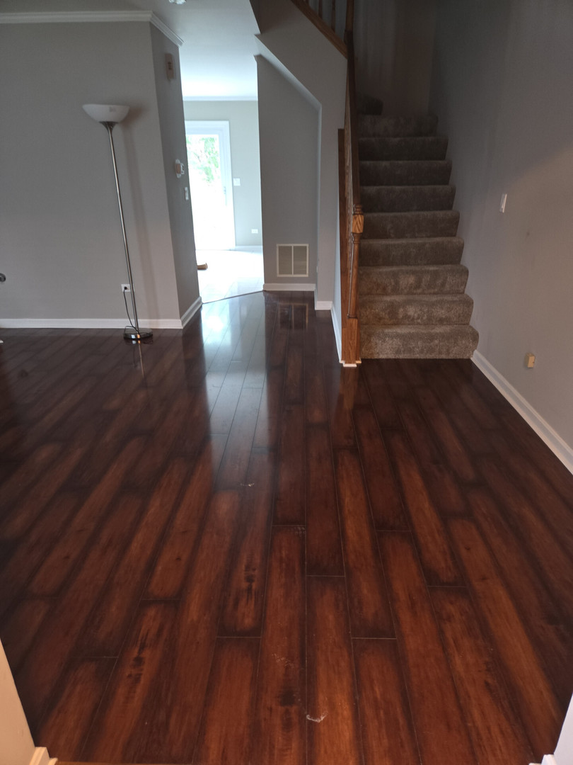 3013 Dorothy Drive Property Photo 4