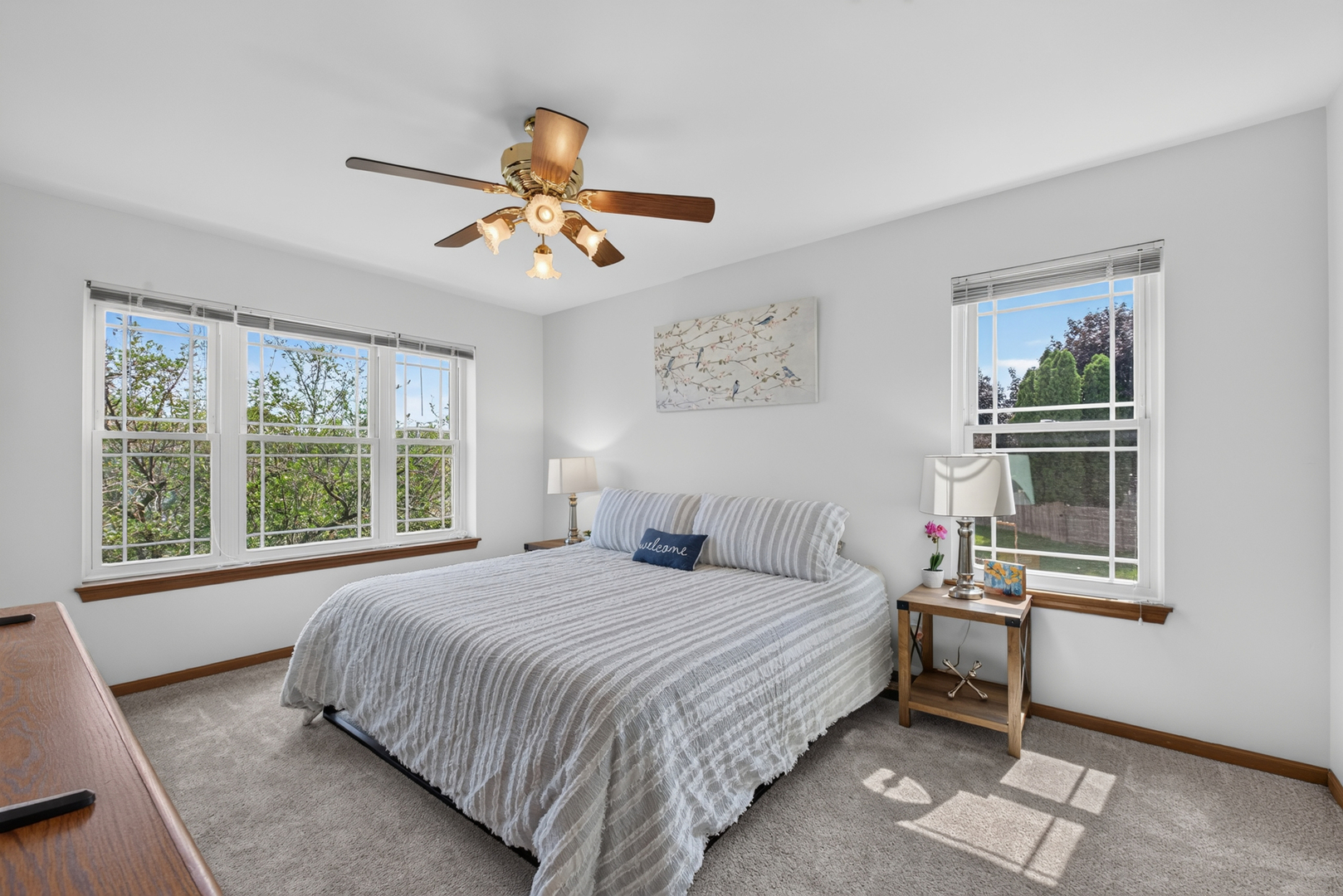 8 Arthur Court Property Photo 19