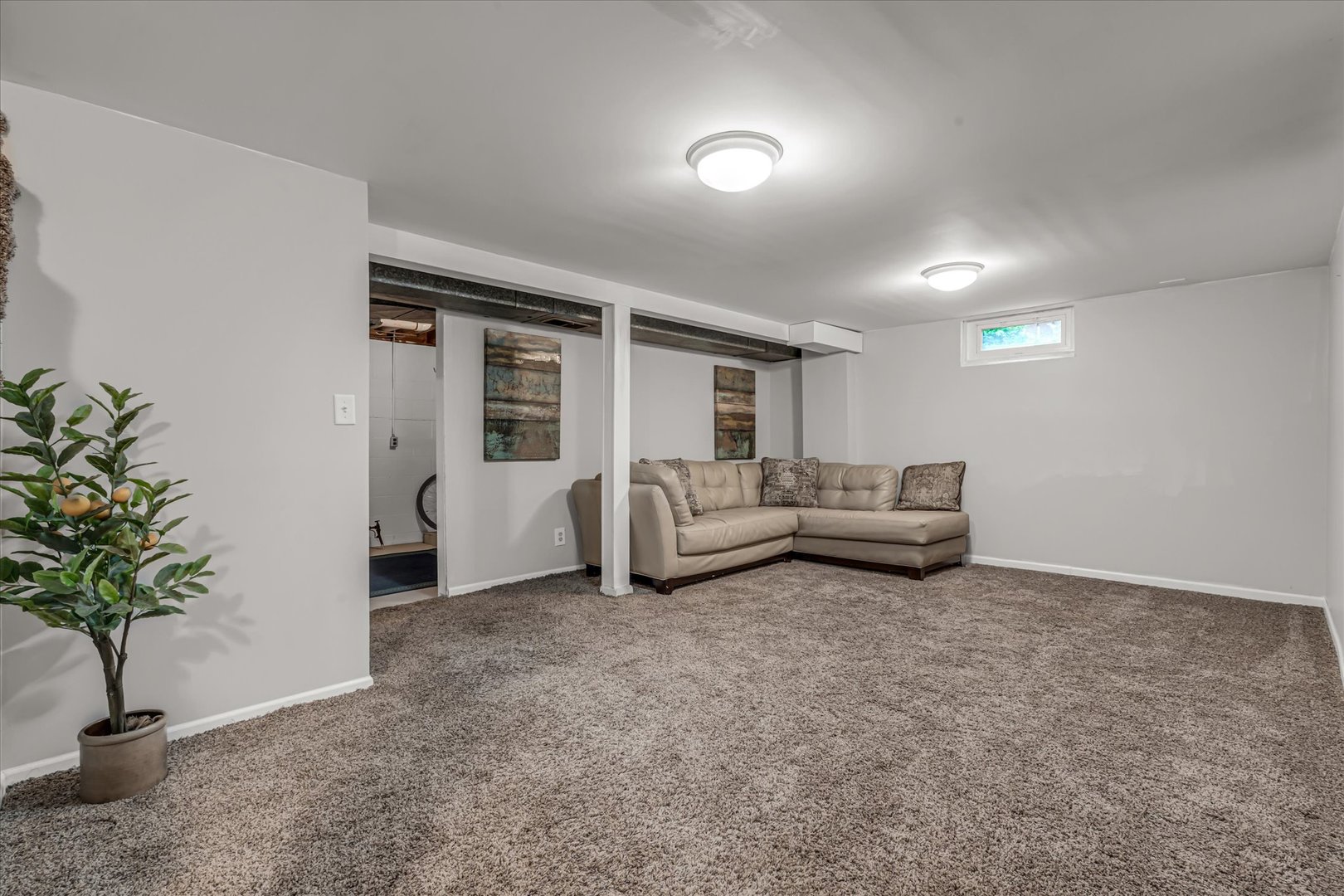 1535 Forest Hills Road Property Photo 45