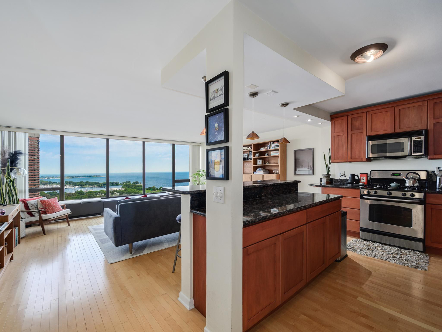2800 N Lake Shore Drive 2505 Property Photo 2