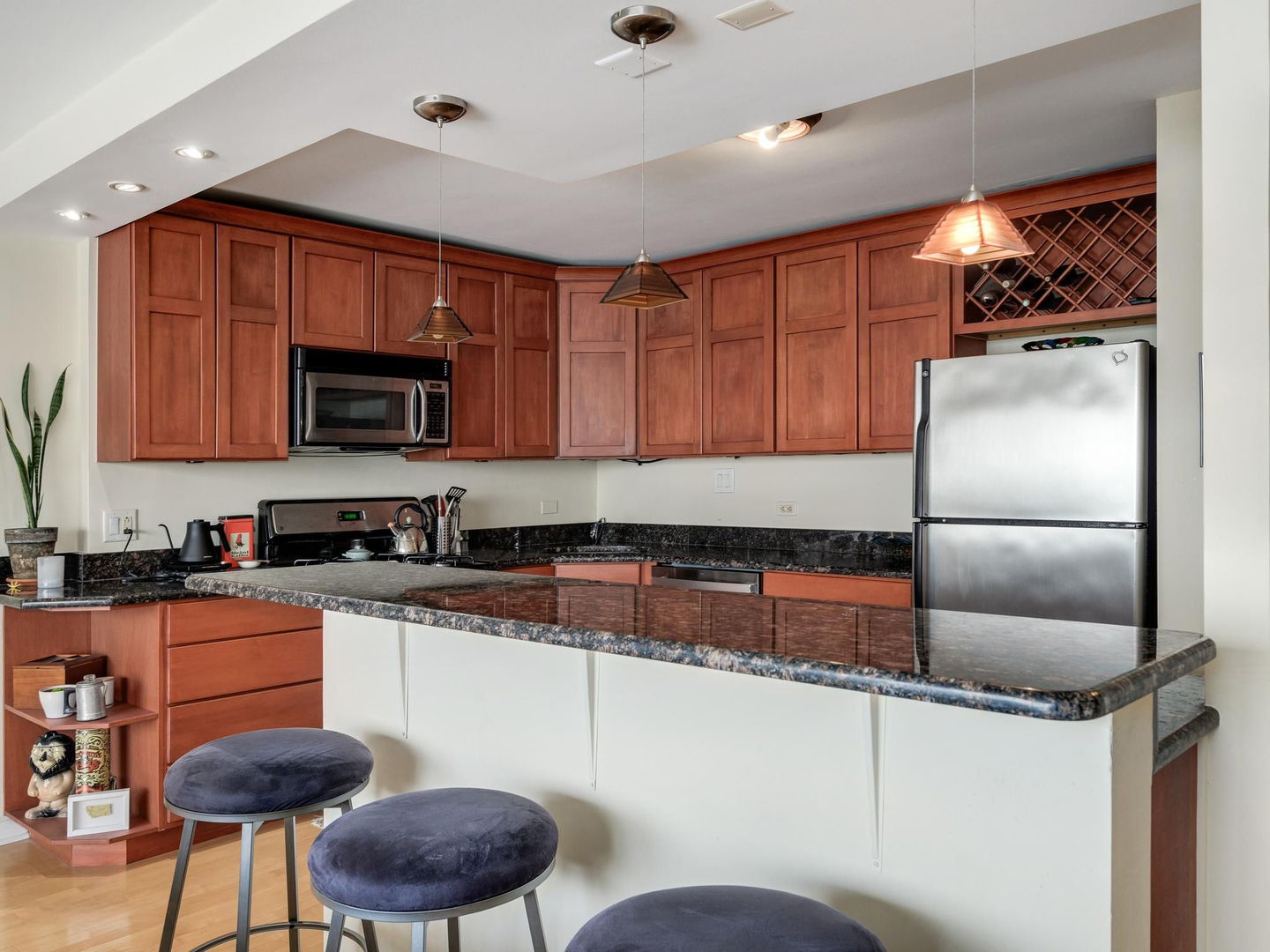 2800 N Lake Shore Drive 2505 Property Photo 11