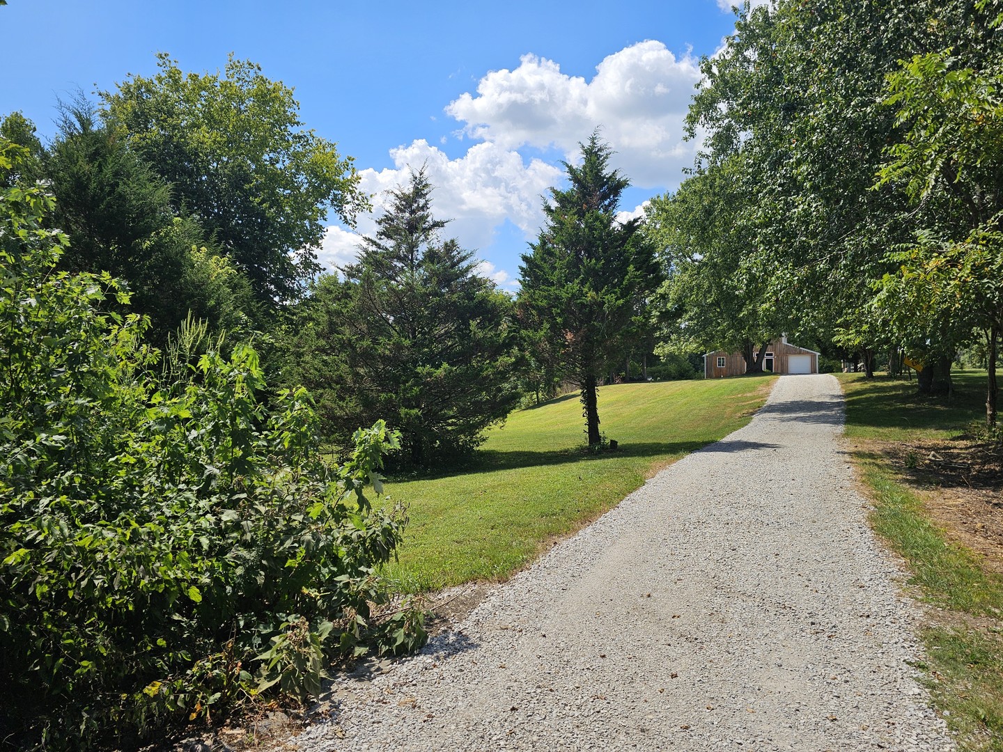 2673 County Farm Road Property Photo 5